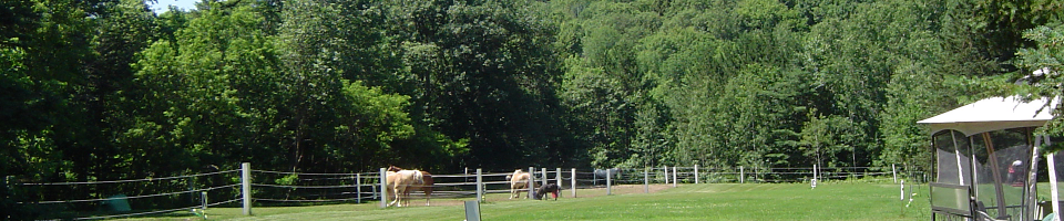Image banner